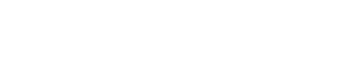 Nettics Logo